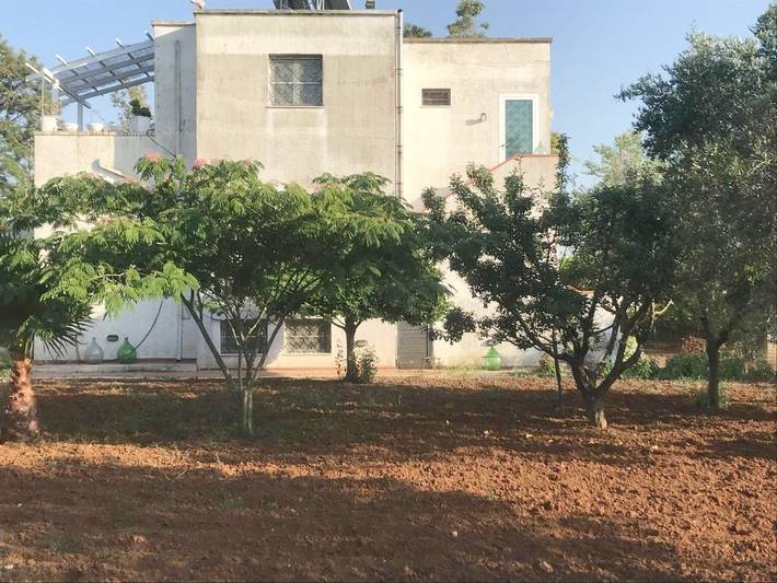 Chambre d’hôte pour 6 personnes, avec jardin et vue, animaux acceptés à Brindisi - 3