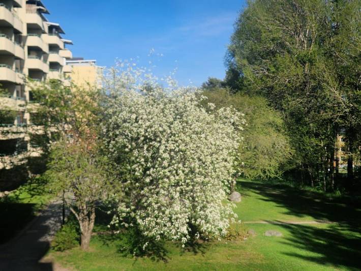 Ferienwohnung für 10 Personen, mit Ausblick und Balkon - 1