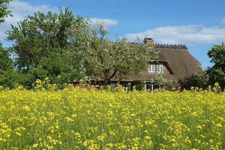 Bauernhof für 2 Personen, mit Garten in Gelting - 4