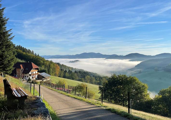 Gîte pour 3 personnes, avec terrasse et jardin à Steinach