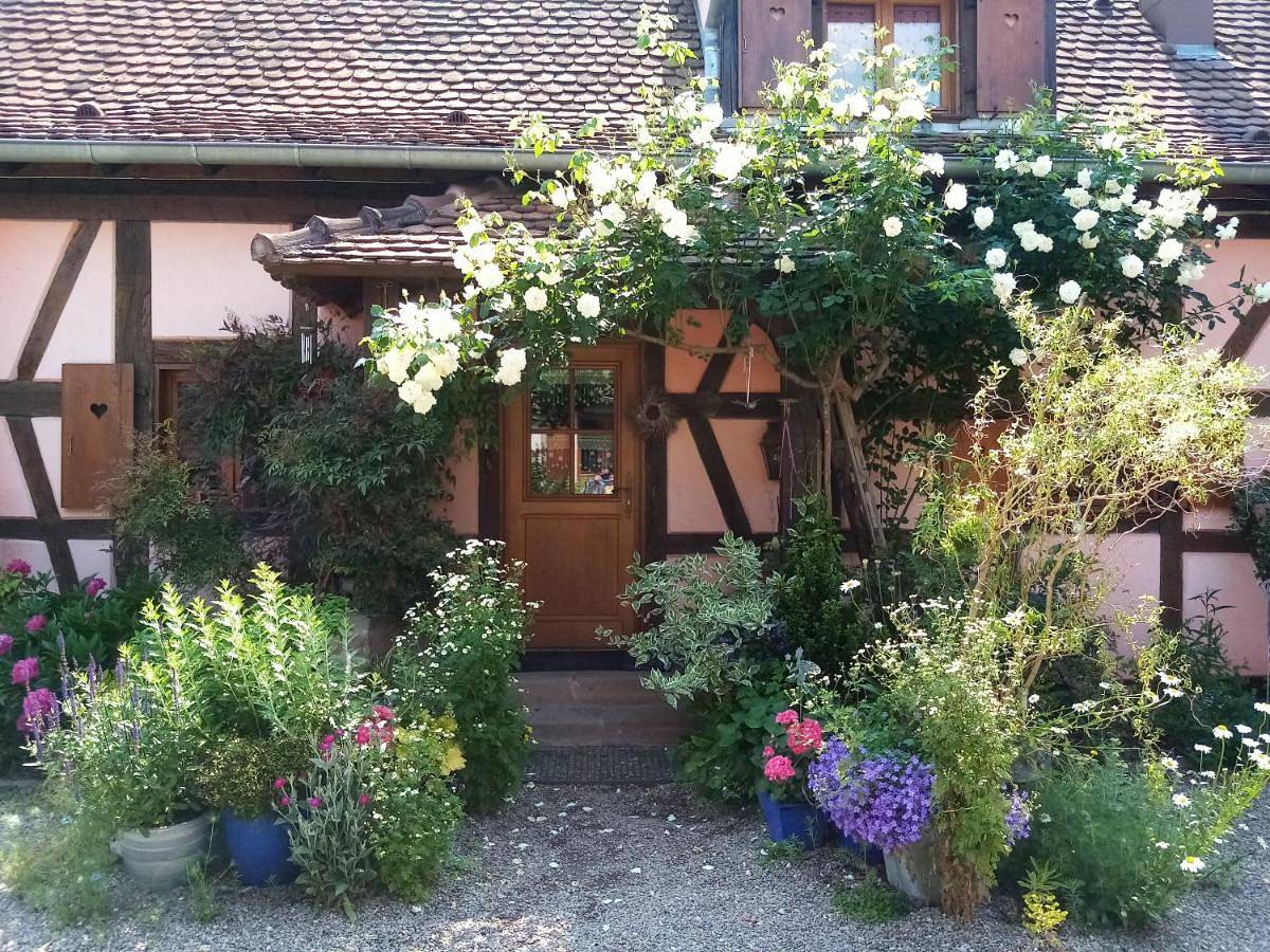 Hissele in Hilsenheim, Région de Sélestat-Erstein