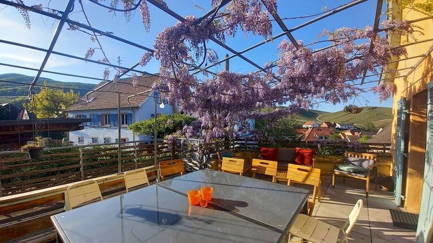 Location de vacances pour 10 personnes, avec terrasse et sauna à Katzenthal - 3