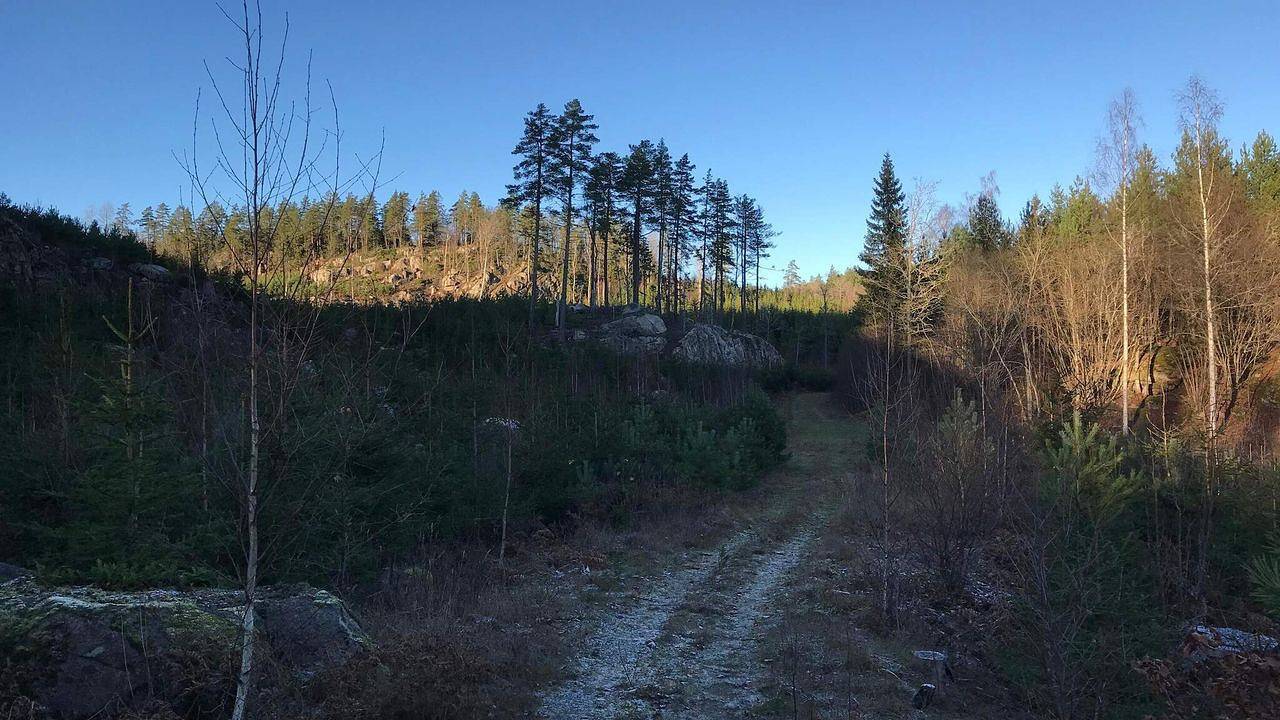 Ferienhaus für 2 Personen (25 m²) in Rimforsa in Kinda, Östergötland