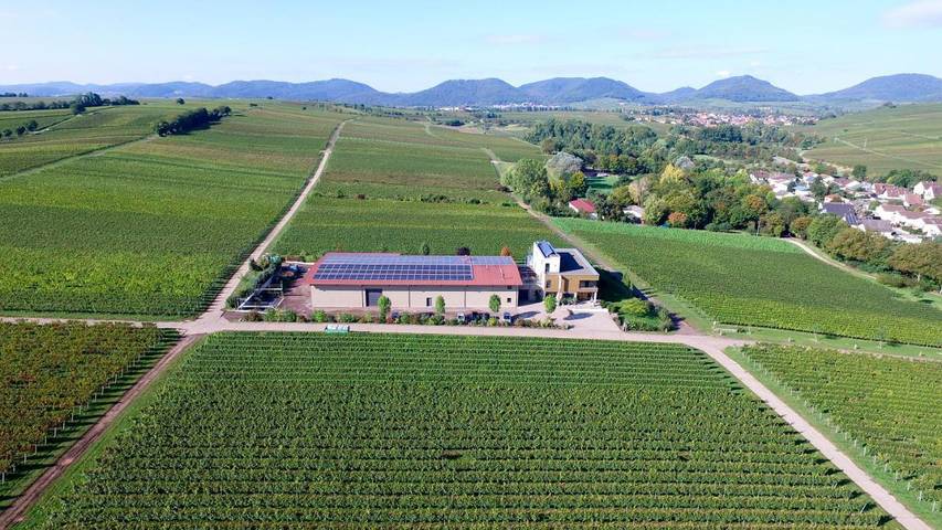 Apartamento para 2 personas, con vistas y jardín, Se admiten mascotas en Landau