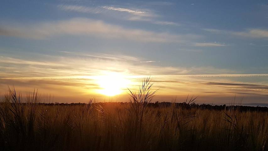 Ferienhaus für 6 Personen, mit Garten und Seeblick, mit Haustier auf Rügen - 3