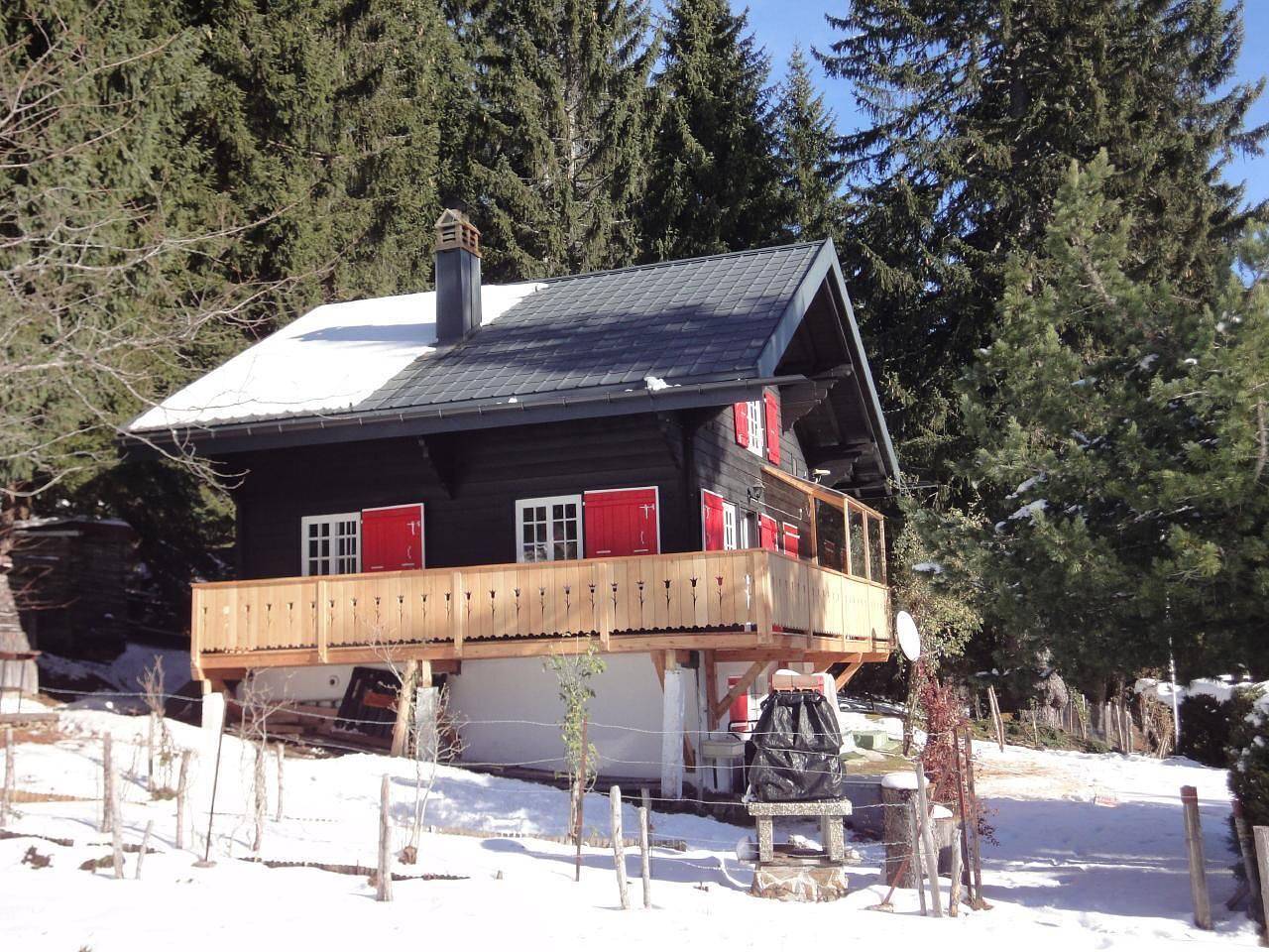 Wandern Schneeschuhe 2Hunde Ok geniessen Top Preis in Châtel-Saint-Denis, Lac Léman