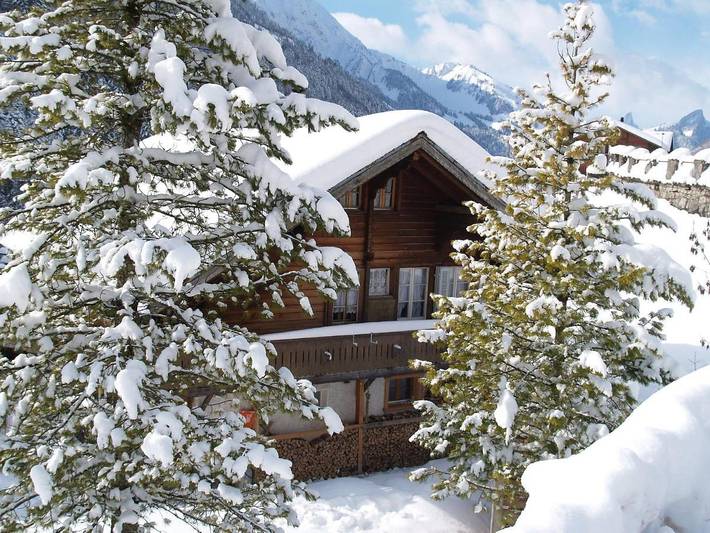 Ferienhaus für 5 Personen, mit Balkon und Terrasse sowie Garten in Jaun