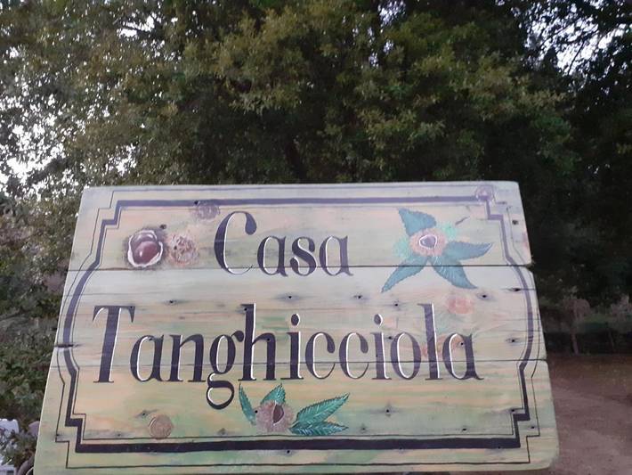 Gîte pour 4 personnes, avec terrasse et vue à Levie - 2