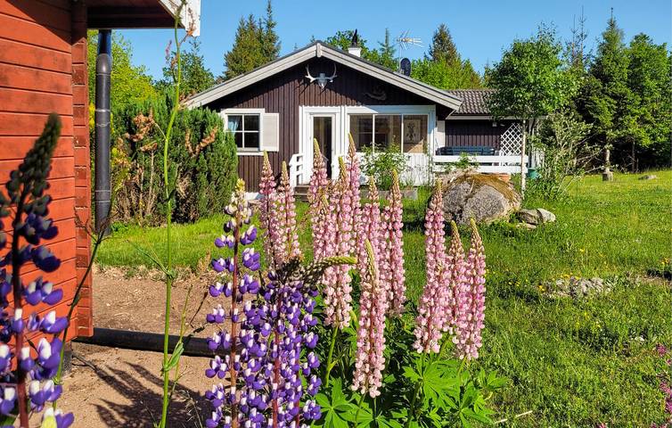 Ferienhaus für 4 Personen, mit Terrasse und Garten in Smaland - 2