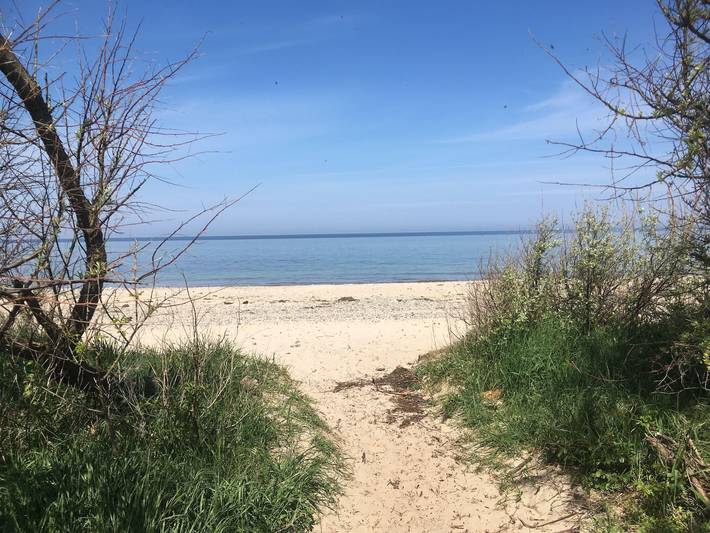 Ferienwohnung für 4 Personen, mit Terrasse und Garten, kinderfreundlich in Bastorf - 3