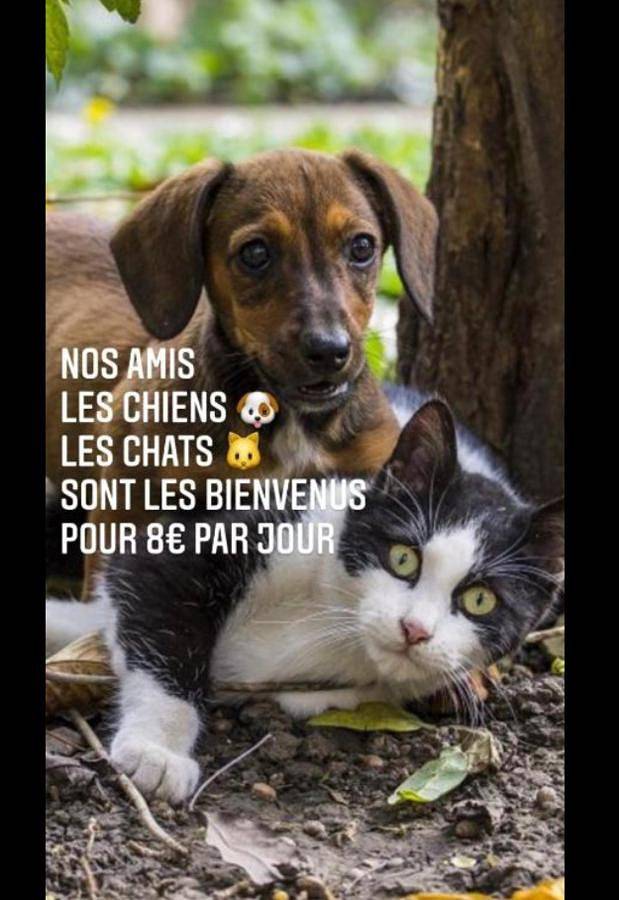 Parc de vacances pour 4 personnes, avec vue et jardin ainsi que piscine et sauna à Cassen - 3