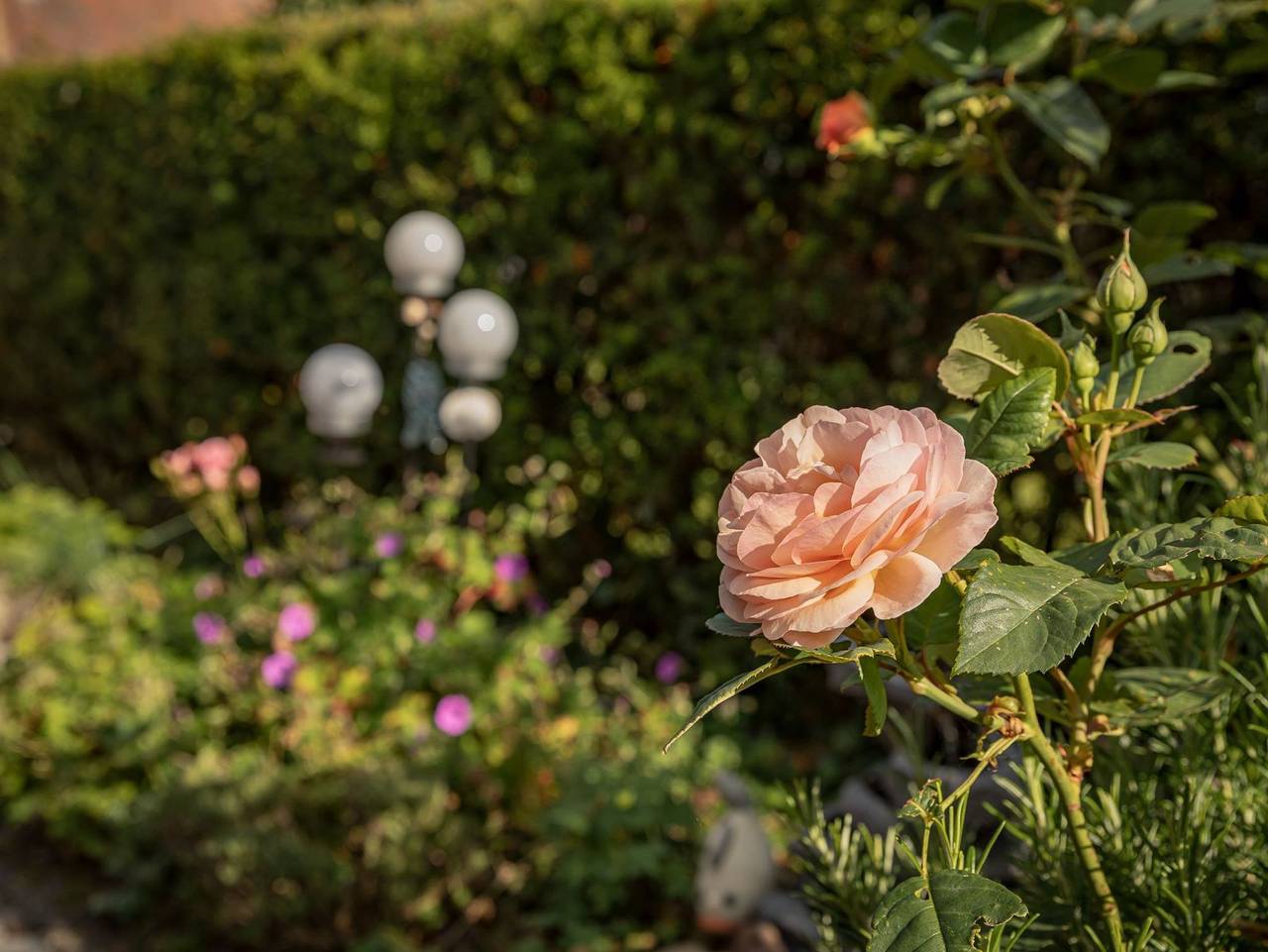Ganze Ferienwohnung, Ferienwohnung Strandräuber in Carolinensiel-Harlesiel, Wittmund