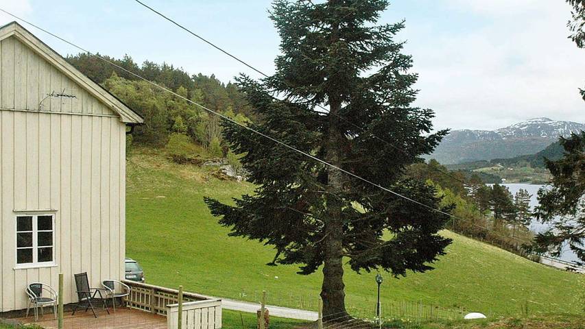 Ferienhaus für 6 Personen, mit Terrasse in Halsa