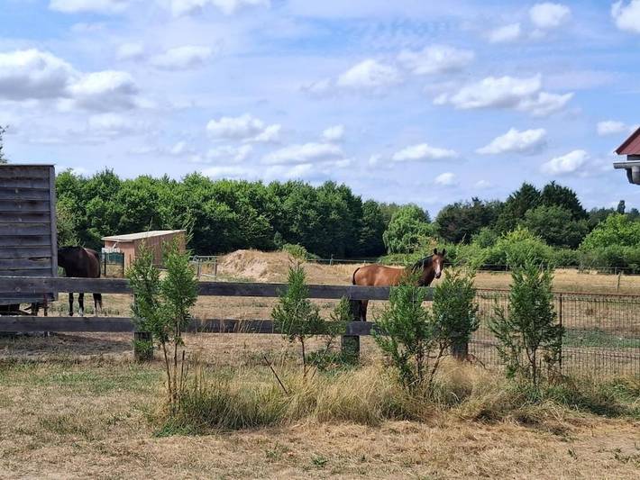 Location de vacances pour 5 personnes, avec jardin à Marcilly-en-Gault - 4