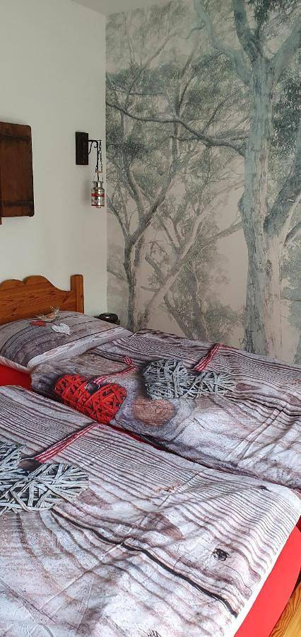 Gîte pour 4 personnes, avec jardin et vue à Savièse - 2