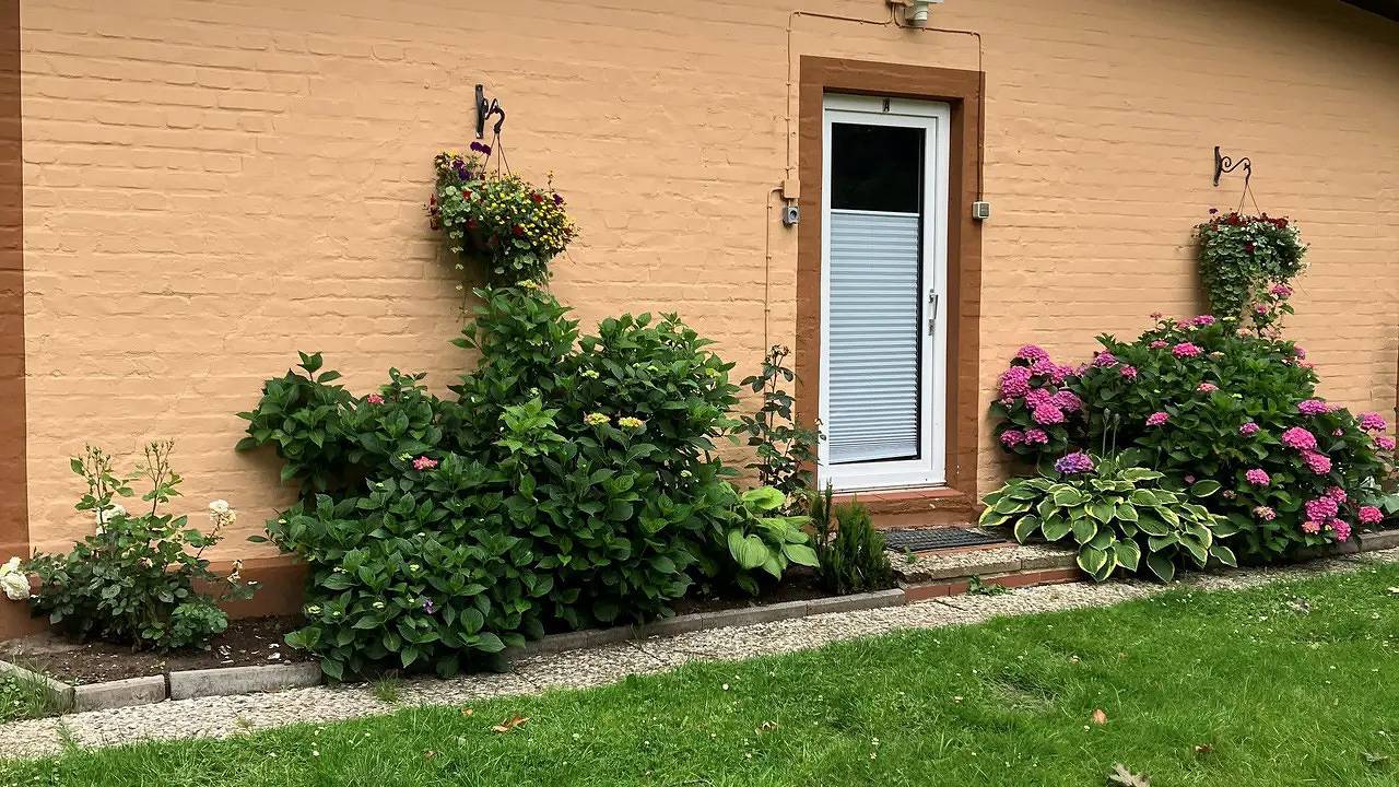 Ganze Ferienwohnung, Ferienwohnung für 2 Personen (48 m²) in Schneverdingen in Schneverdingen, Landkreis Heidekreis