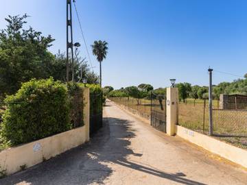 Ferienhaus in Búger, Mallorca Inselmitte für 3 