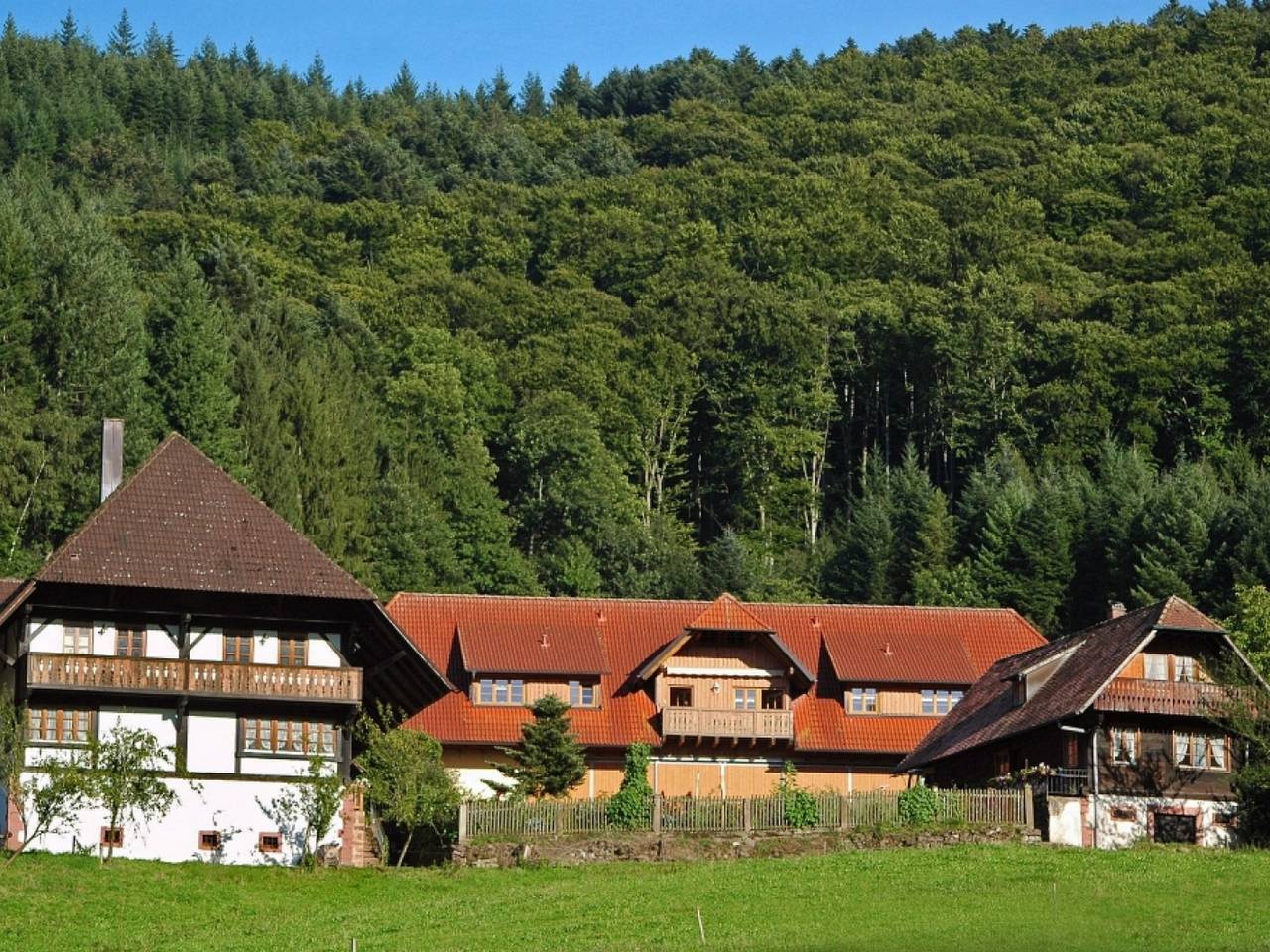 Ganze Ferienwohnung, Haagseppenhof - Ferienwohnung Talblick, 58qm, 1 Schlafzimmer, max. 2 Personen in Seelbach, Mittlerer Schwarzwald