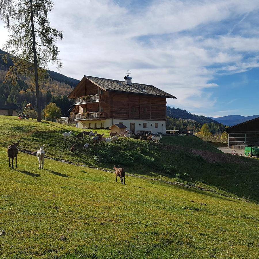 Double Room with Balcony in Tesero, Dolomiti di Fiemme