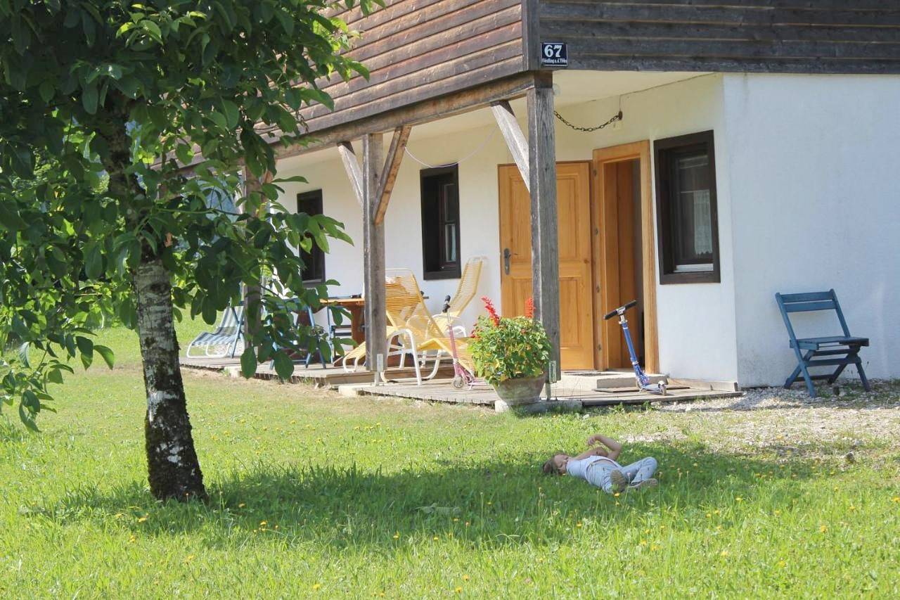 Ganze Wohnung, Ferienhof Kirchau in Göstling an der Ybbs, Mostviertel Region