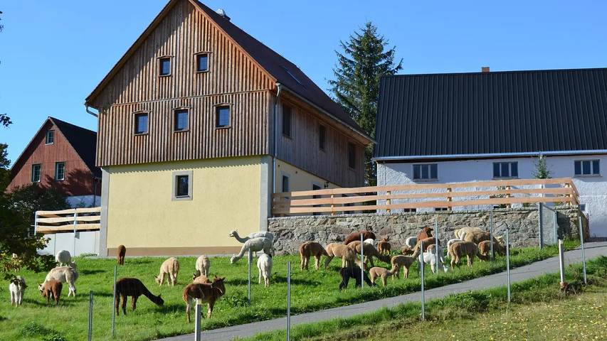 Ferienhaus für 9 Personen, mit Sauna und Garten sowie Terrasse in Frauenstein - 4