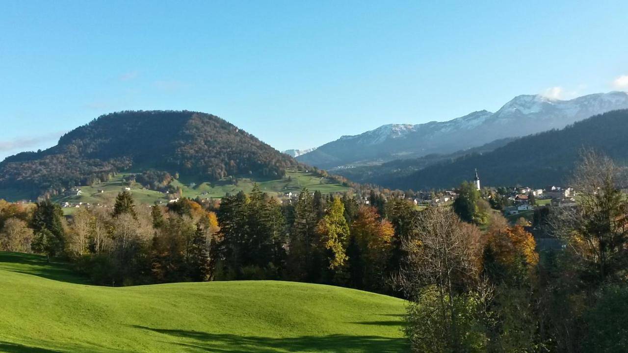 Ganzes Studio, Haus Hagspiel in Hittisau, Bodensee-Vorarlberg