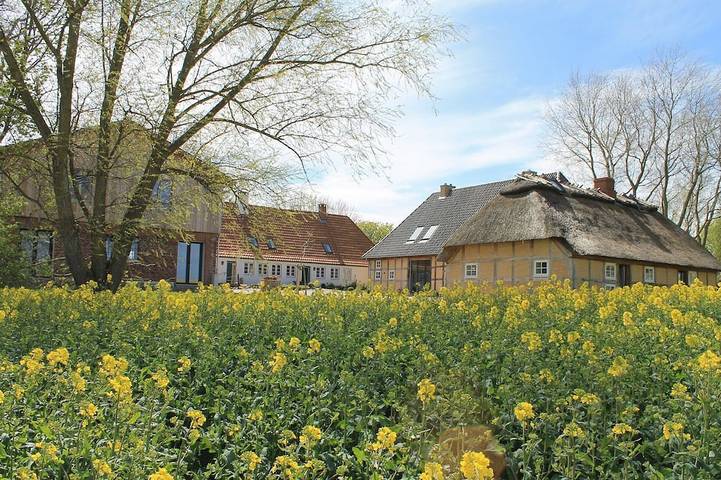 Ferienhaus für 39 Personen, mit Garten und Terrasse sowie Sauna, mit Haustier