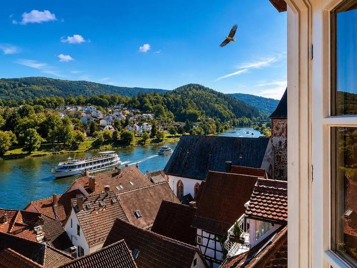 Ferienwohnung für 2 Personen, mit Terrasse und Ausblick in Hirschhorn (Neckar)
