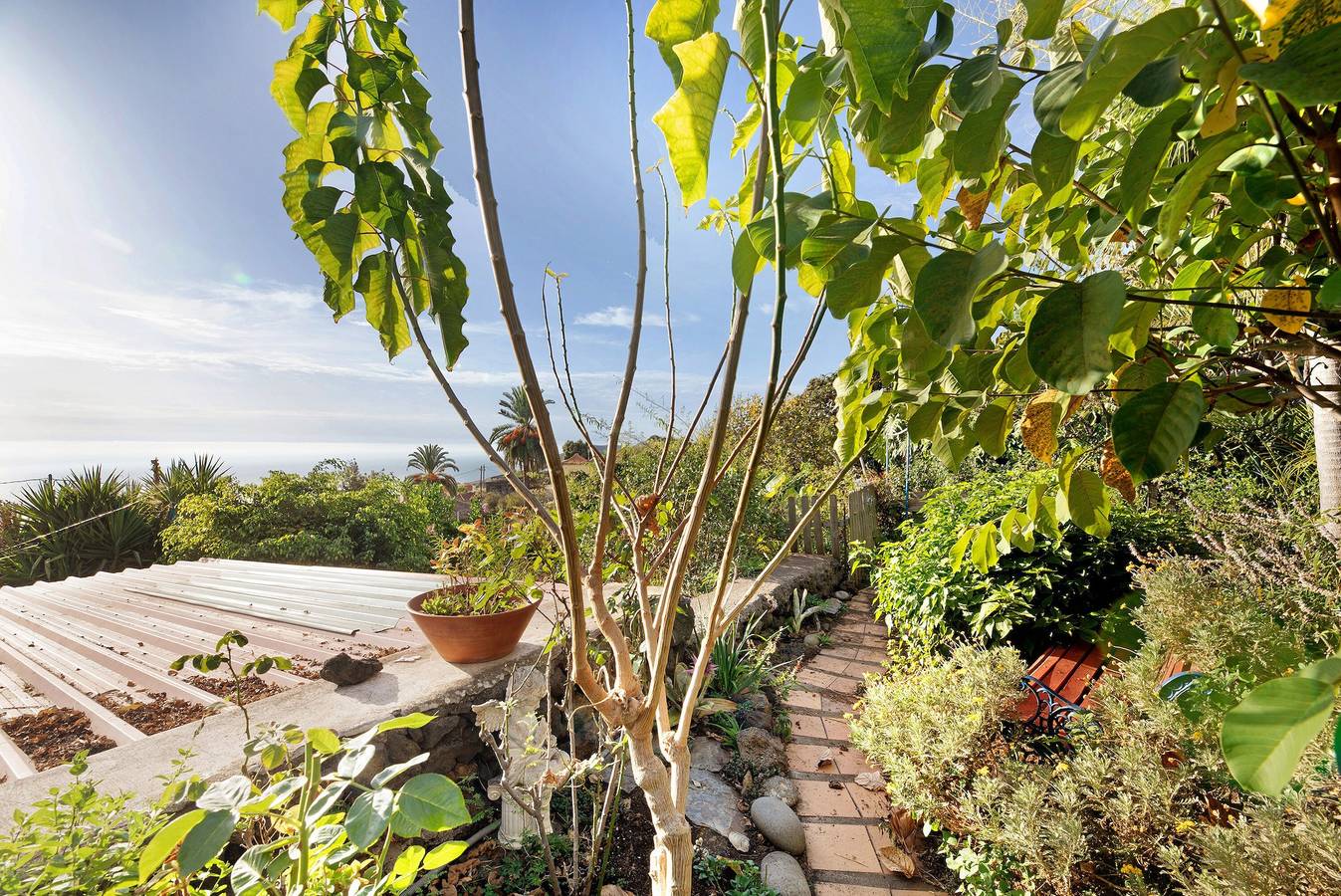 Ganze Wohnung, Ferienhaus "Casa La Panacea" mit Meerblick, privater Terrasse und Wlan in La Rosa, Villa de Mazo