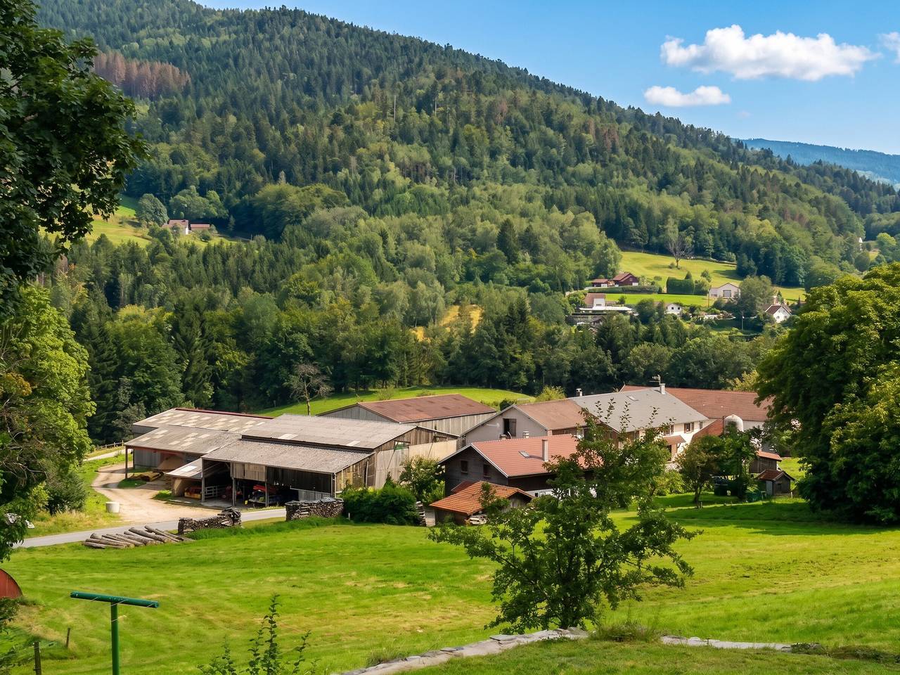 Appartement entier, Appartement confortable à Cleurie avec jardin in Cleurie, Région d'Épinal