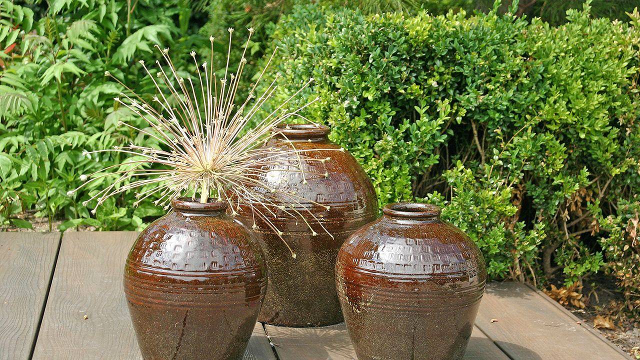 Geheel vakantieappartement, Vakantieappartement voor 2 personen met zwembad in Noordwijk, Nederlandse Noordzeekust