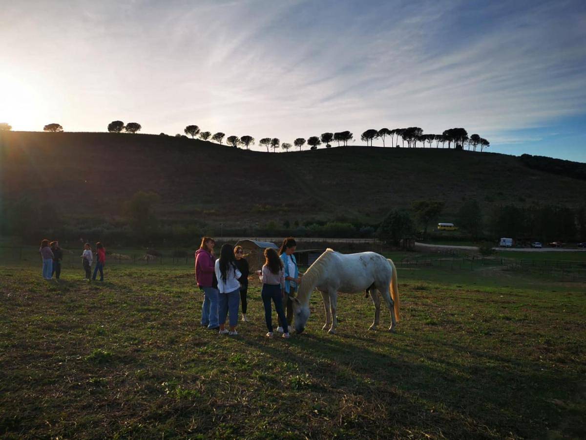 Tenuta Agricola Fonte Di Papa in Marcigliana, Roma