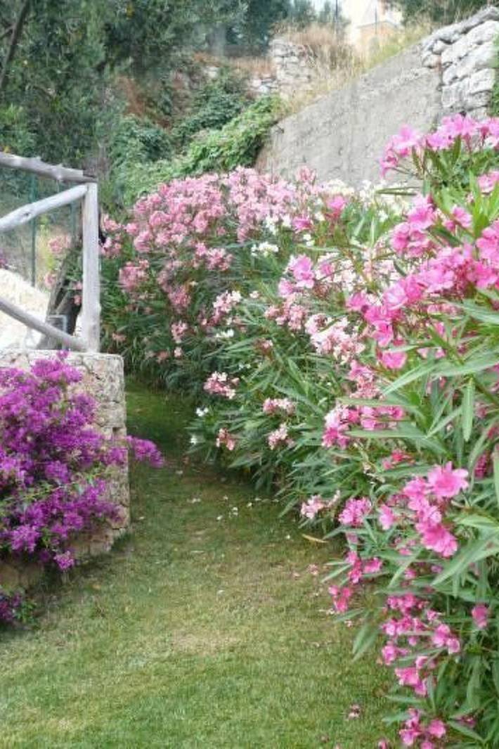 Ferienwohnung für 4 Personen, mit Terrasse und Garten sowie Pool in Finale Ligure Gemeinde - 3