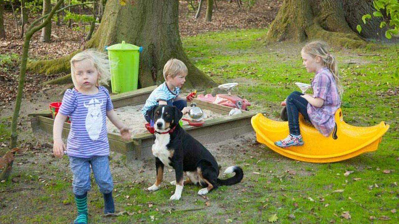 Ferienhaus für 6 Personen (80 m²) in Neuenkirchen in Neuenkirchen (Lüneburger Heide), Landkreis Heidekreis