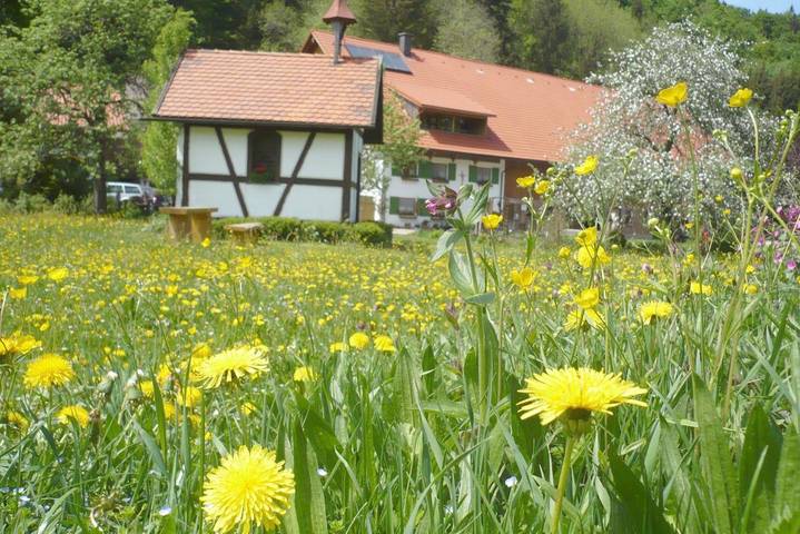 Ferienhaus für 5 Personen, mit Balkon in Isny im Allgäu