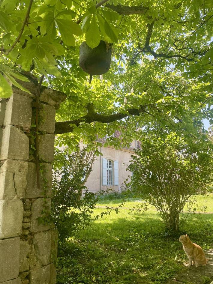 Gîte pour 12 personnes, avec piscine ainsi que jardin et terrasse à Lédat - 4
