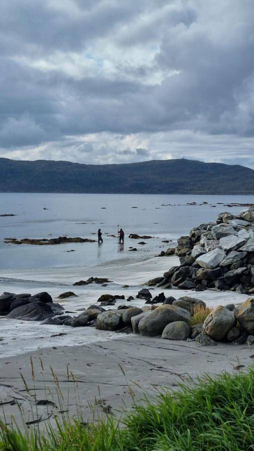 Runde Miljøsenter & Opplev Runde in Herøy