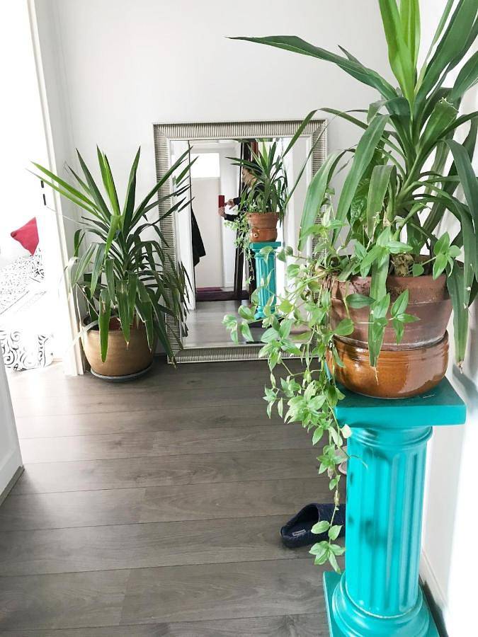 Apartamento de vacaciones para 8 personas, con vistas - 1