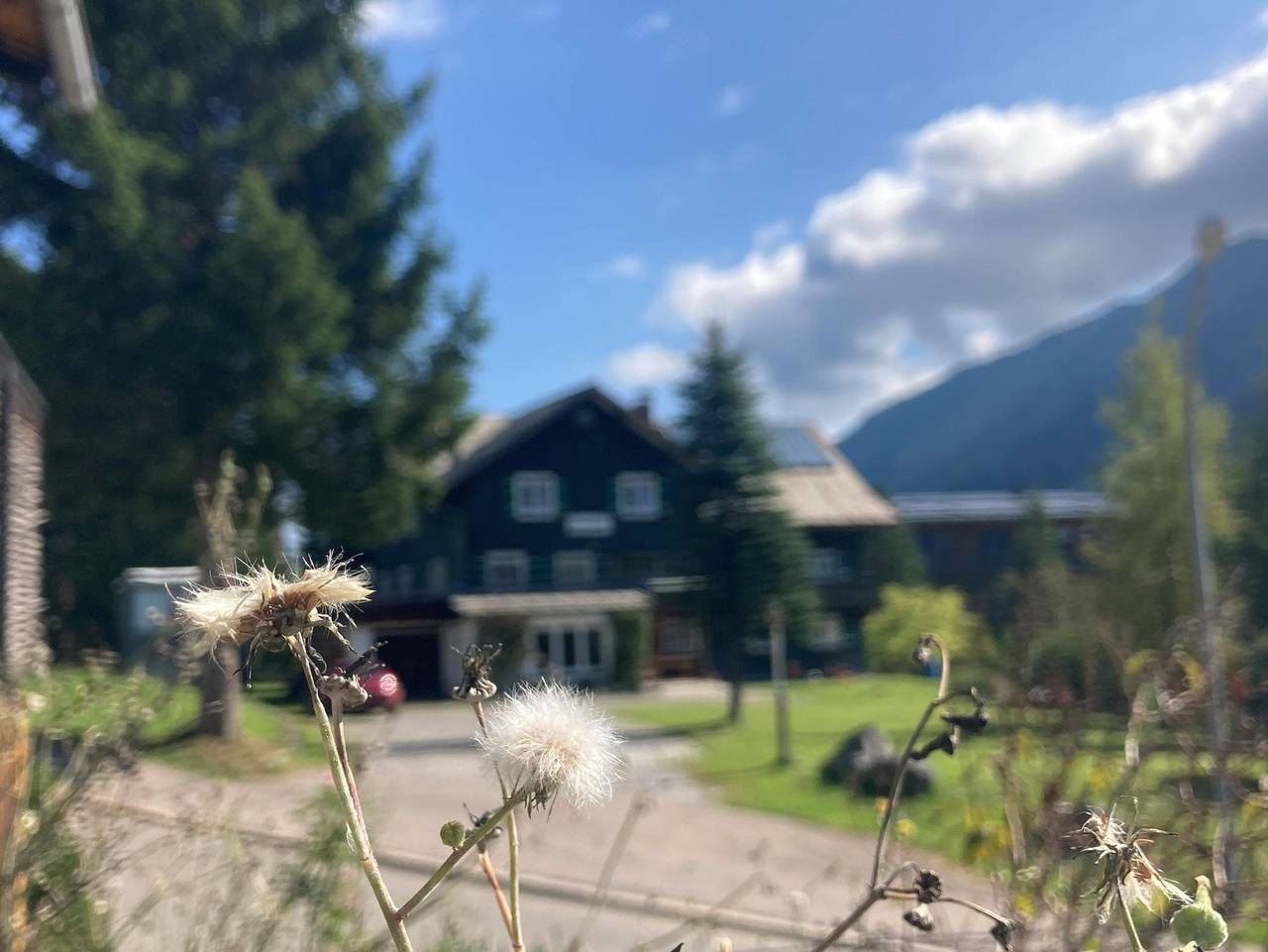 Ganze Ferienwohnung, Haus Wäscher - Wohnung Annette in Hirschegg Kleinwalsertal, Mittelberg