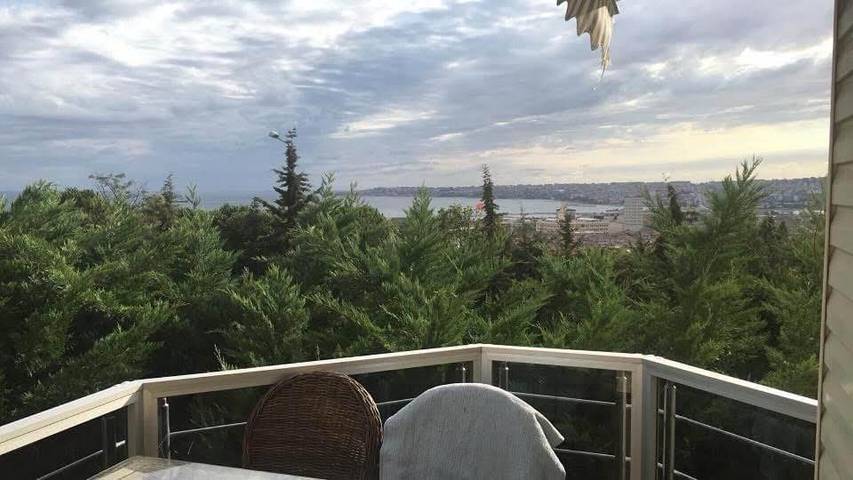 Villa pour 6 personnes, avec vue sur le lac ainsi que vue et jardin, animaux acceptés à Turquie - 2