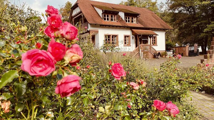 Gîte pour 4 personnes, avec balcon dans Parc naturel régional des Vosges du Nord - 2