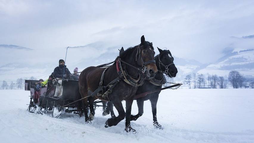 Ferienhaus für 11 Personen, mit Garten und Sauna, mit Haustier in Uttendorf - 2