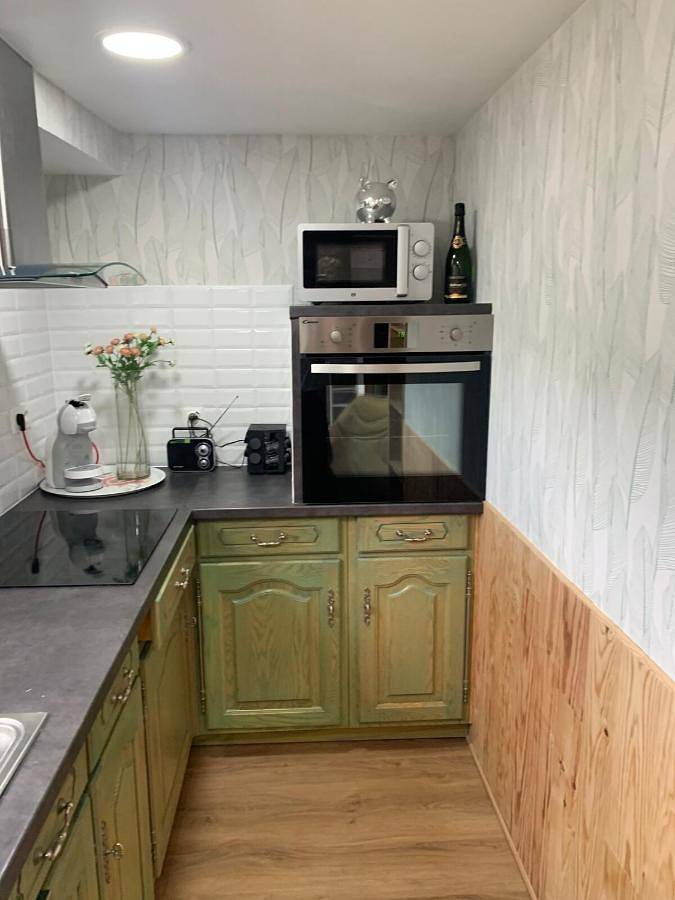 Gîte pour 4 personnes, avec jardin à La Rivière-Enverse - 4