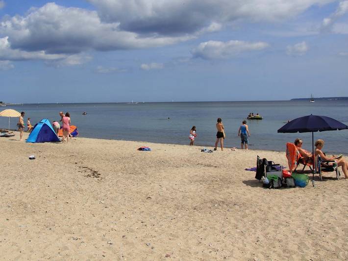 Bauernhof für 4 Personen, mit Terrasse und Garten, mit Haustier in der Eckernförder Bucht - 3