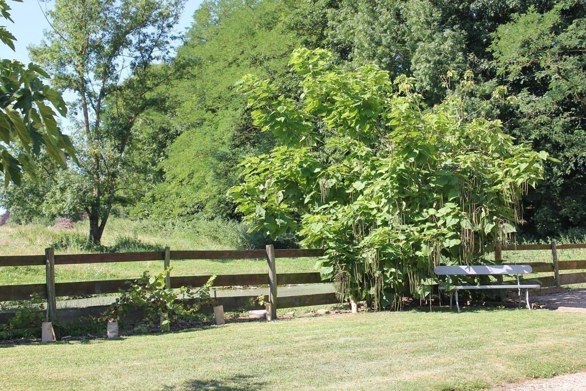 Gîte voor 8 personen met tuin in Pierre-de-Bresse, Louhans en omgeving