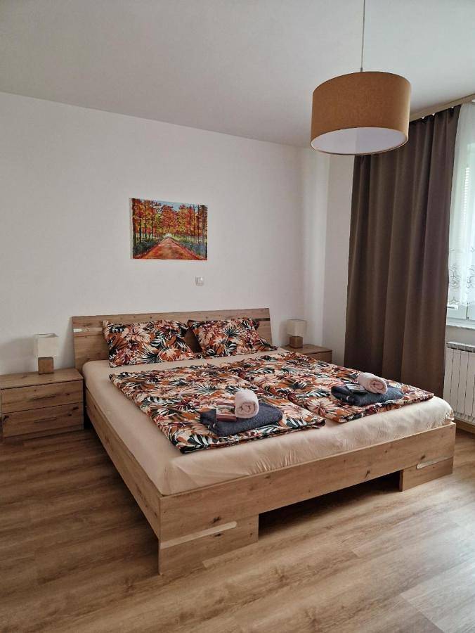 Gîte pour 6 personnes, avec terrasse, animaux acceptés dans Mojstrana - 2