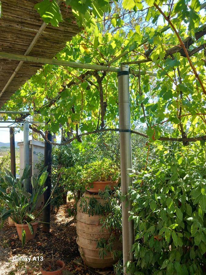 Appartamento per 4 persone, con giardino e panorama, adatto a famiglie con bambini a Riotorto