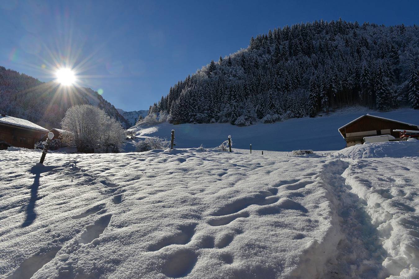 Ganze Wohnung, Ferienwohnung 'Coeur De Charmy' mit Bergblick, privater Terrasse und Spa in Abondance, Les Portes du Soleil