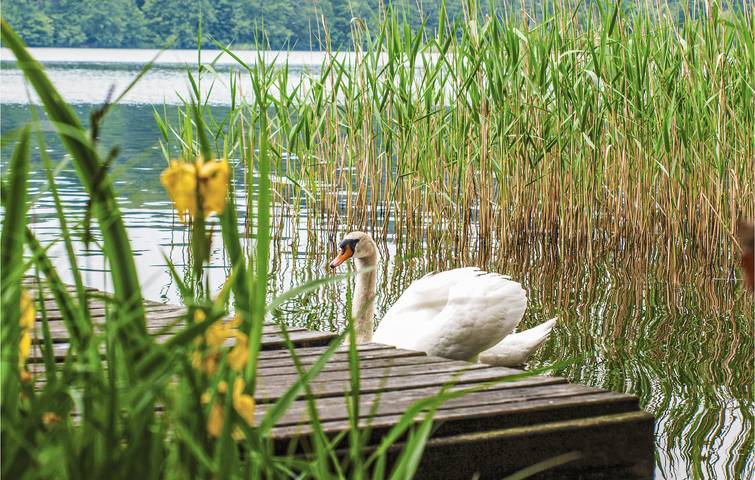 Ferienhaus für 4 Personen, mit Terrasse in den Masuren - 3