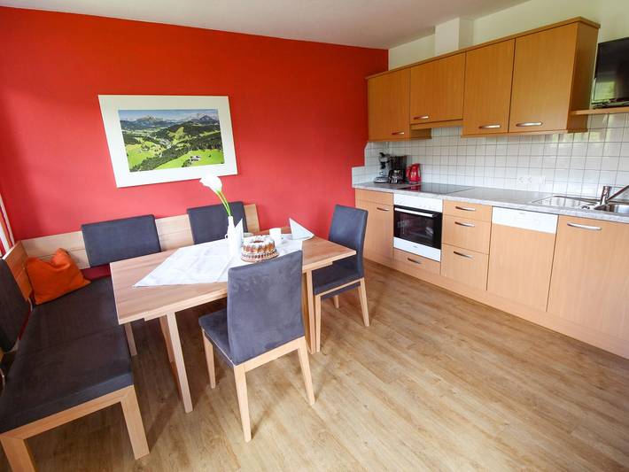 Ganze Ferienwohnung, Apartment/1 Schlafraum/Dusche, Wc in Filzmoos, Tennengau